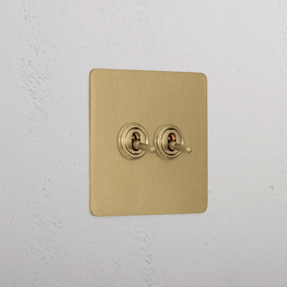 Antique brass toggle switches